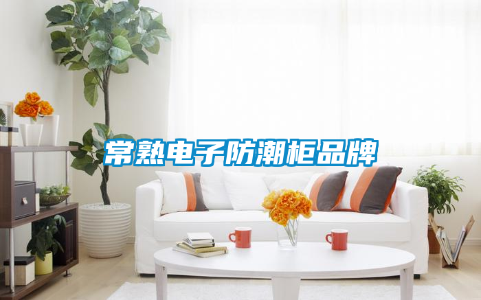 常熟电子防潮柜品牌