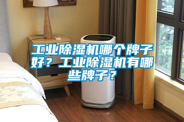 工业除湿机哪个牌子好？工业除湿机有哪些牌子？