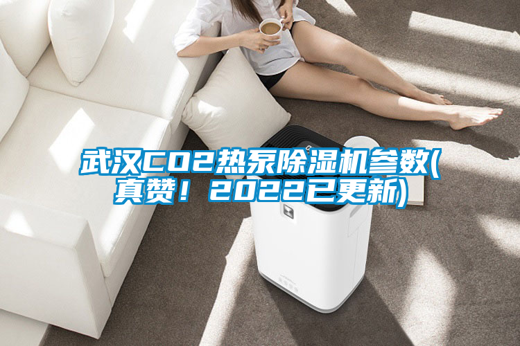 武汉CO2热泵除湿机参数(真赞！2022已更新)