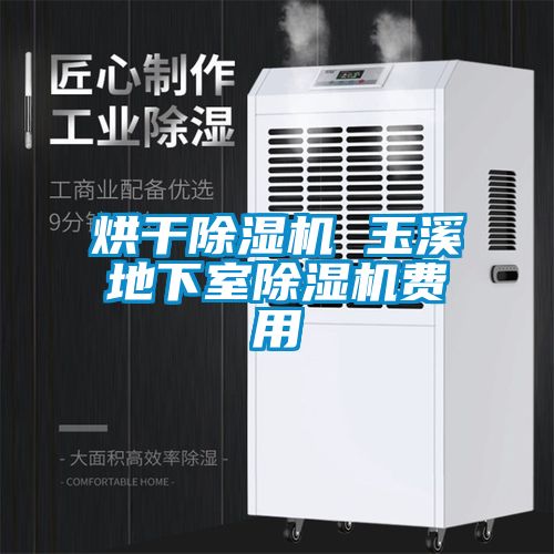 烘干除湿机 玉溪地下室除湿机费用