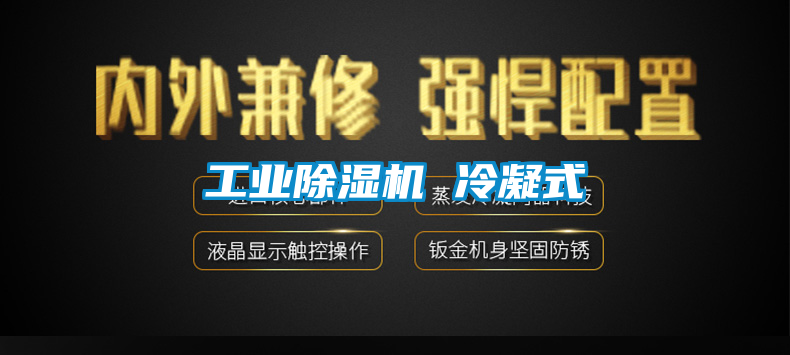 工业除湿机 冷凝式