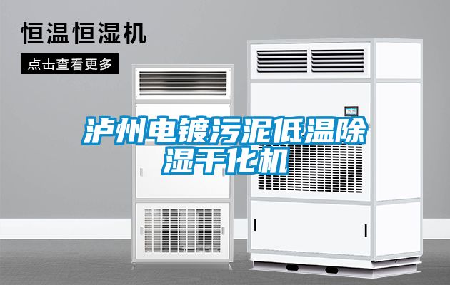 泸州电镀污泥低温除湿干化机