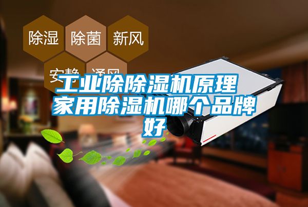 工业除除湿机原理 家用除湿机哪个品牌好