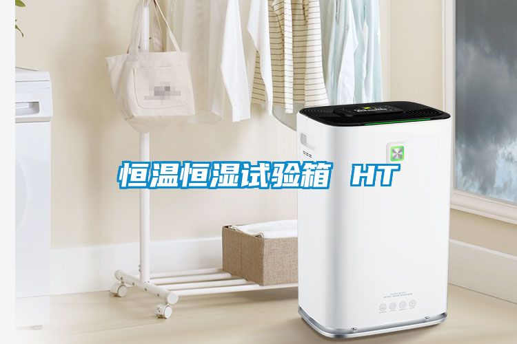 恒温恒湿试验箱 HT