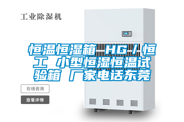 恒温恒湿箱 HG／恒工 小型恒湿恒温试验箱 厂家电话东莞