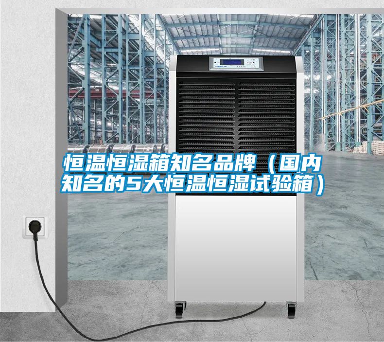 恒温恒湿箱知名品牌（国内知名的5大恒温恒湿试验箱）