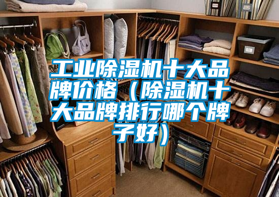 工业除湿机十大品牌价格（除湿机十大品牌排行哪个牌子好）