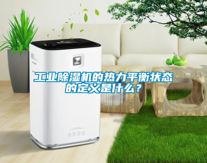 工业除湿机的热力平衡状态的定义是什么？