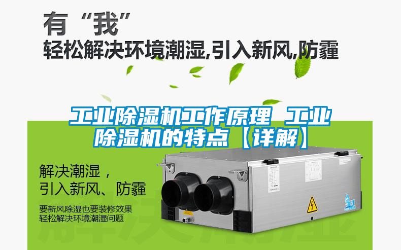 工业除湿机工作原理 工业除湿机的特点【详解】