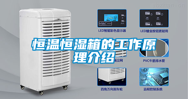 恒温恒湿箱的工作原理介绍