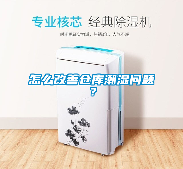 怎么改善仓库潮湿问题？