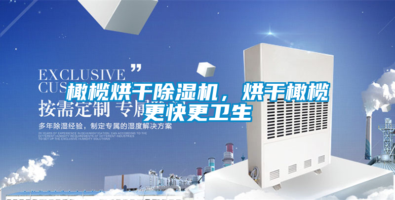橄榄烘干除湿机，烘干橄榄更快更卫生