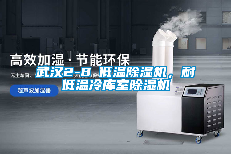 武汉2-8℃低温除湿机，耐低温冷库室除湿机
