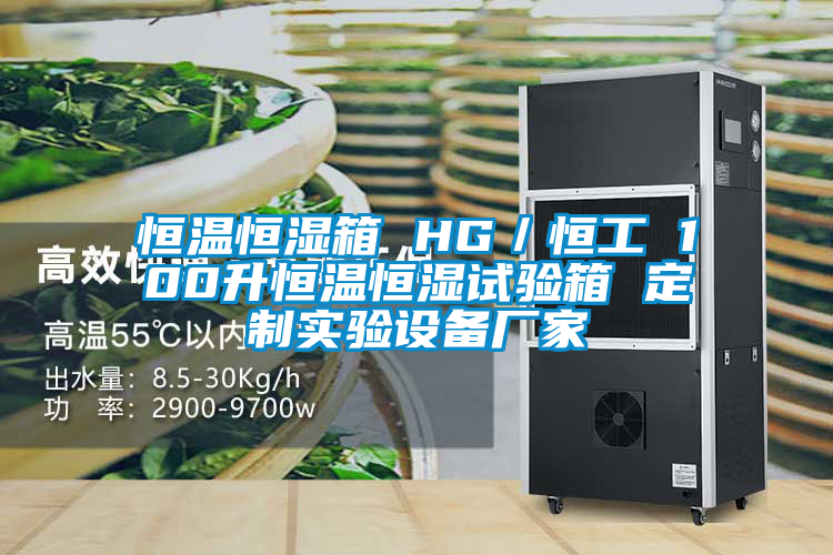 恒温恒湿箱 HG／恒工 100升恒温恒湿试验箱 定制实验设备厂家