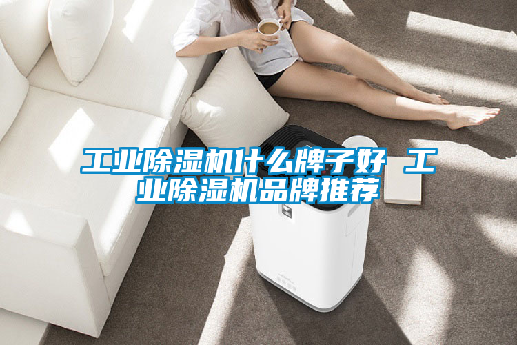 工业除湿机什么牌子好 工业除湿机品牌推荐