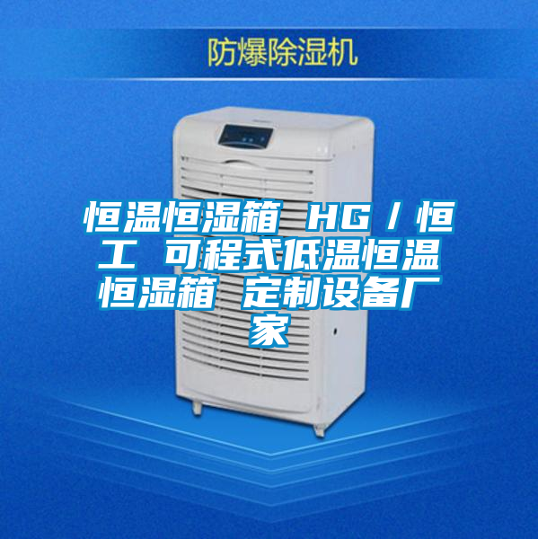 恒温恒湿箱 HG／恒工 可程式低温恒温恒湿箱 定制设备厂家