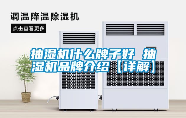 抽湿机什么牌子好 抽湿机品牌介绍【详解】