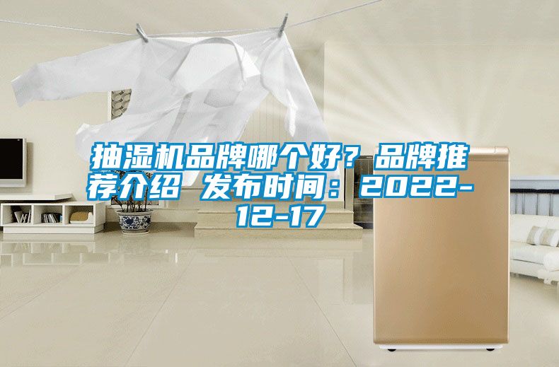 抽湿机品牌哪个好？品牌推荐介绍 发布时间：2022-12-17