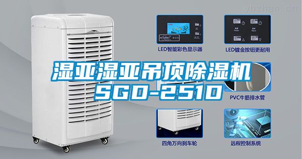 湿亚湿亚吊顶除湿机 SGD-251D