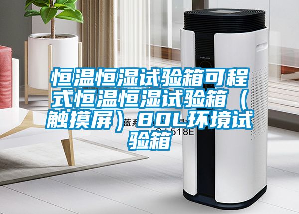 恒温恒湿试验箱可程式恒温恒湿试验箱（触摸屏）80L环境试验箱