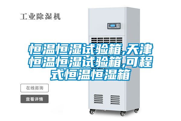 恒温恒湿试验箱,天津恒温恒湿试验箱,可程式恒温恒湿箱