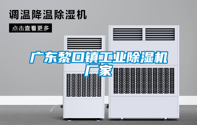 广东黎口镇工业除湿机厂家