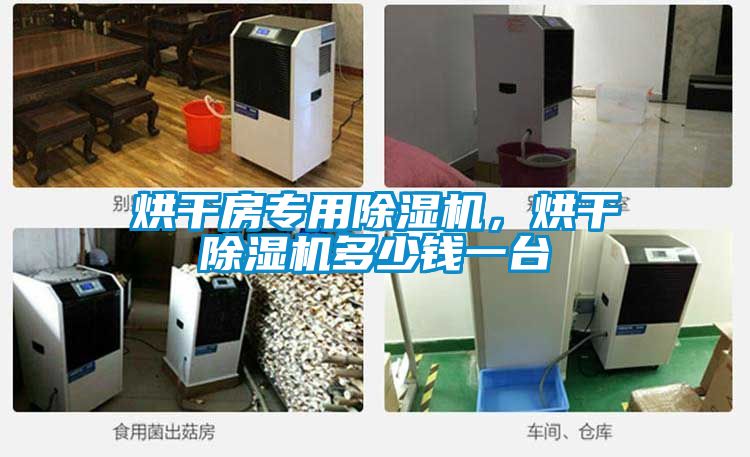 烘干房专用除湿机，烘干除湿机多少钱一台