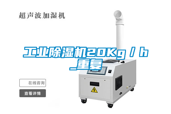 工业除湿机20Kg／h_重复