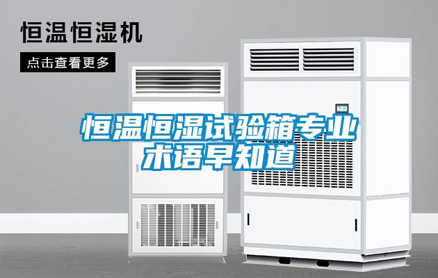 恒温恒湿试验箱专业术语早知道