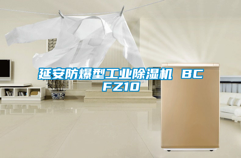 延安防爆型工业除湿机 BCFZ10