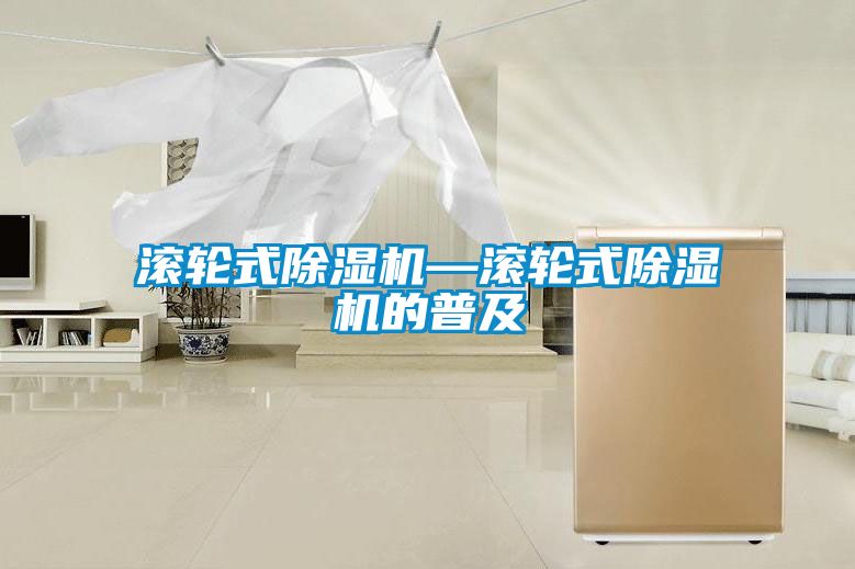 滚轮式除湿机—滚轮式除湿机的普及
