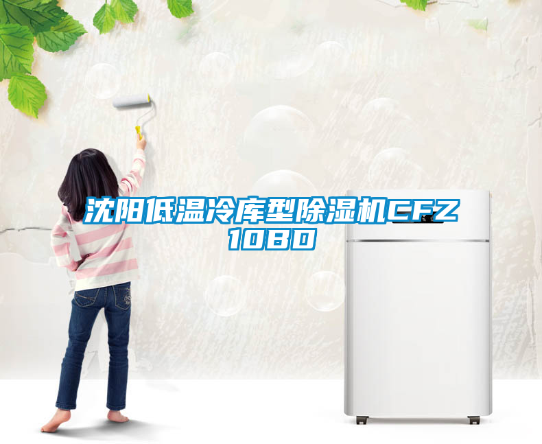 沈阳低温冷库型除湿机CFZ10BD