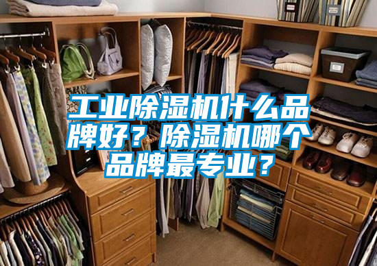 工业除湿机什么品牌好？除湿机哪个品牌最专业？