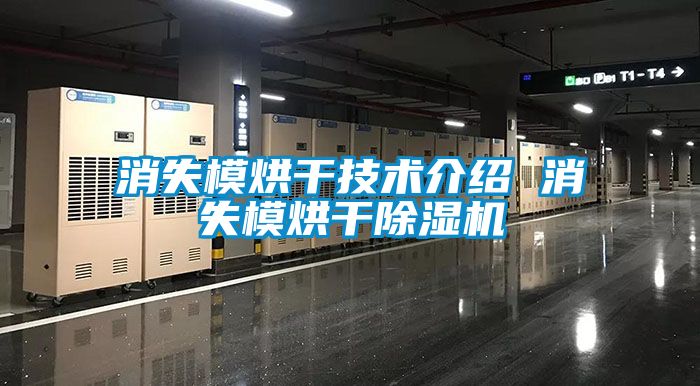 消失模烘干技术介绍 消失模烘干除湿机