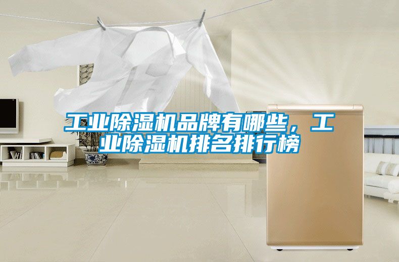 工业除湿机品牌有哪些，工业除湿机排名排行榜