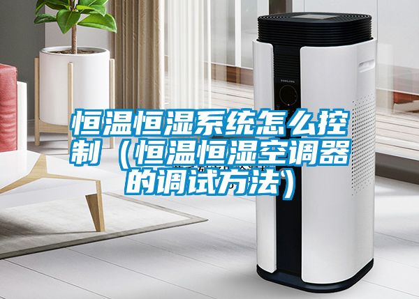 恒温恒湿系统怎么控制（恒温恒湿空调器的调试方法）