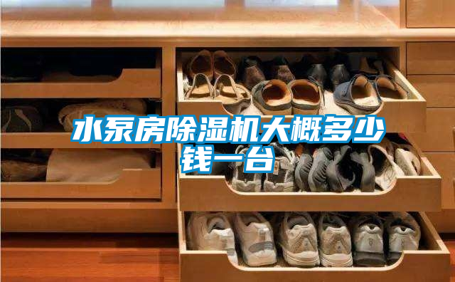水泵房除湿机大概多少钱一台