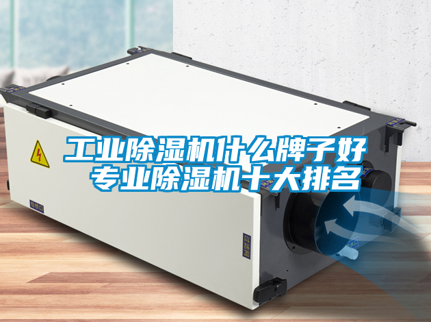 工业除湿机什么牌子好 专业除湿机十大排名