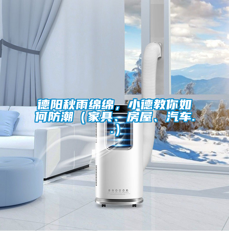 德阳秋雨绵绵，小德教你如何防潮（家具、房屋、汽车..）