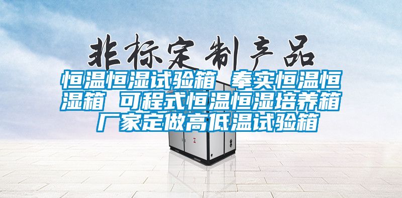 恒温恒湿试验箱 奉实恒温恒湿箱 可程式恒温恒湿培养箱 厂家定做高低温试验箱