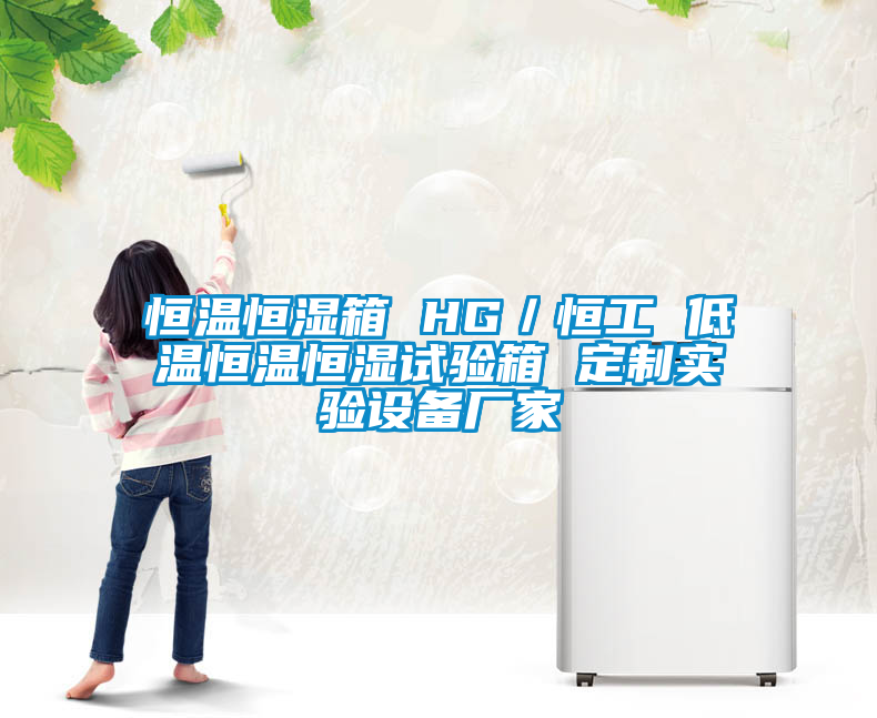 恒温恒湿箱 HG／恒工 低温恒温恒湿试验箱 定制实验设备厂家