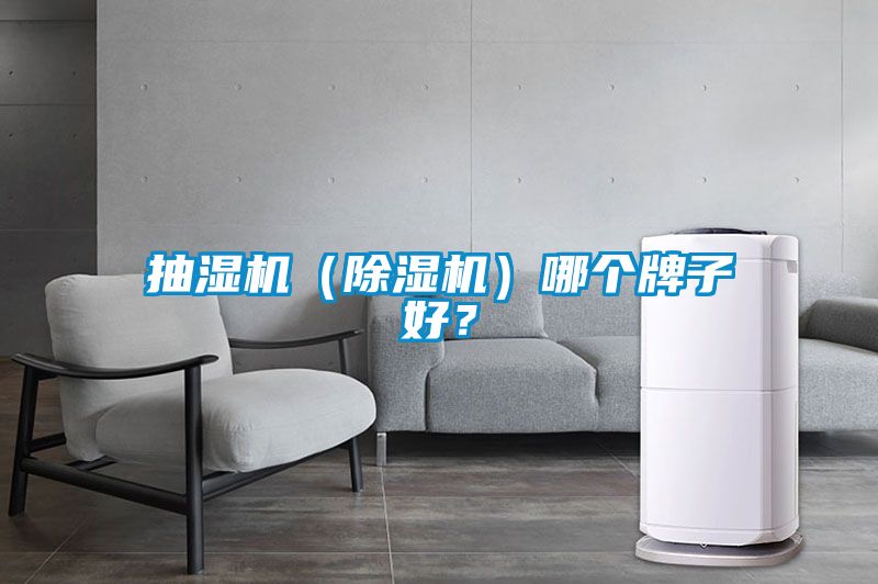 抽湿机（除湿机）哪个牌子好？