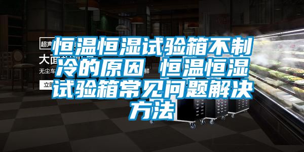 恒温恒湿试验箱不制冷的原因 恒温恒湿试验箱常见问题解决方法