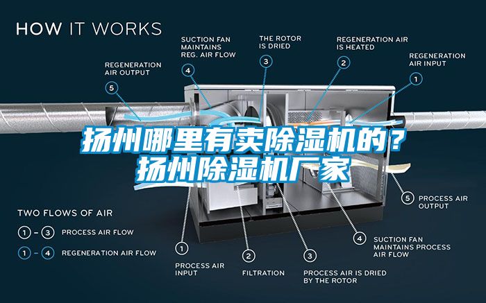 扬州哪里有卖除湿机的？扬州除湿机厂家