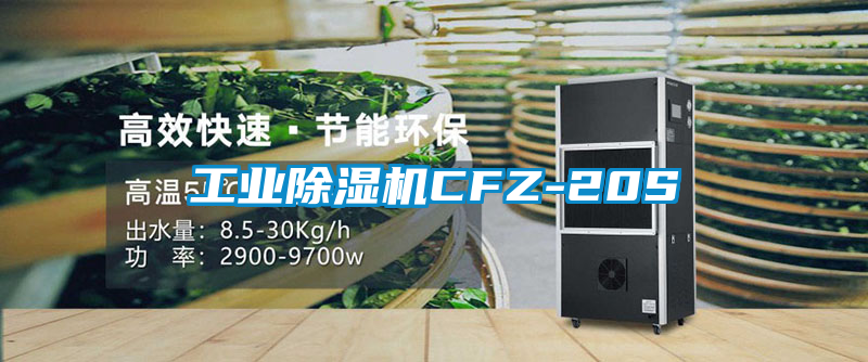 工业除湿机CFZ-20S