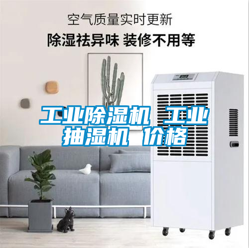 工业除湿机 工业抽湿机 价格