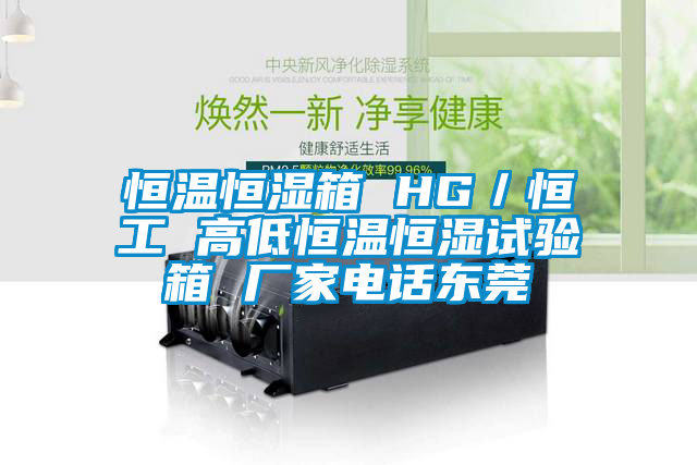 恒温恒湿箱 HG／恒工 高低恒温恒湿试验箱 厂家电话东莞