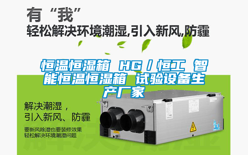 恒温恒湿箱 HG／恒工 智能恒温恒湿箱 试验设备生产厂家