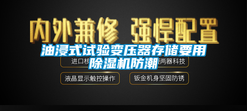 油浸式试验变压器存储要用除湿机防潮