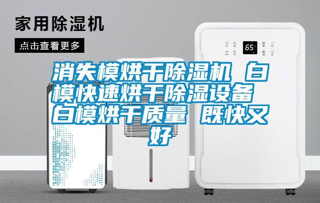 消失模烘干除湿机 白模快速烘干除湿设备 白模烘干质量 既快又好